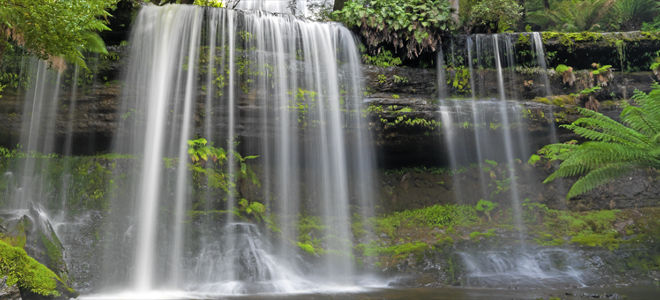 Auslandsjahr in Tasmanien: Bild der Russel Falls Wasserfälle
